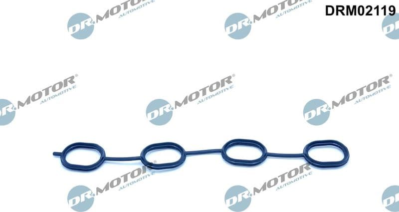 Gasket, intake manifold DRM02119