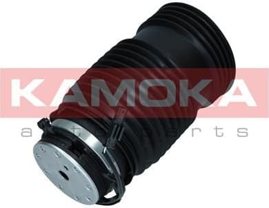 Air Spring, suspension 2079051