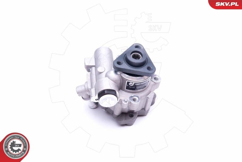 Hydraulic Pump, steering 10SKV248 - image 2