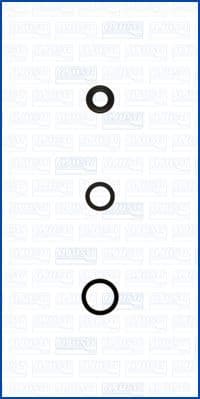 Seal Kit, injector nozzle 77026000