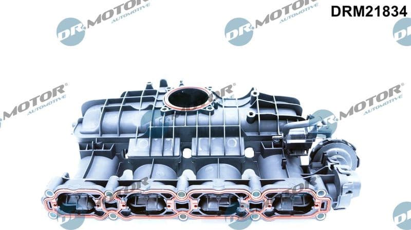 Intake Manifold Module DRM21834