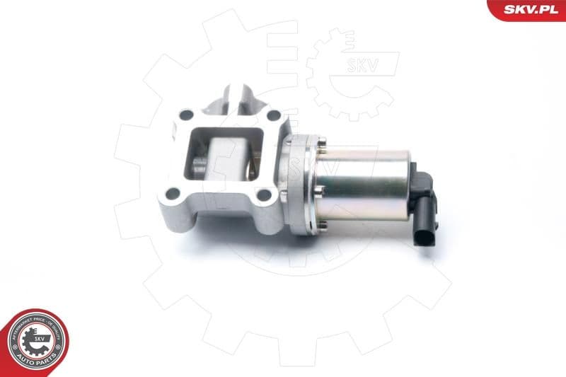 EGR Valve 14SKV099