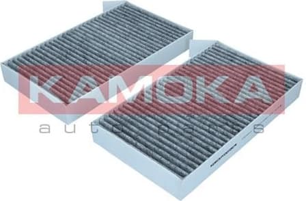 Filter, cabin air F520801