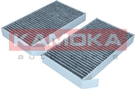 Filter, cabin air F520801 - image 3