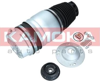 Air Spring, suspension 2079010