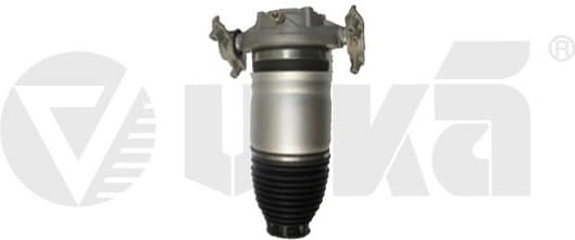 Air Suspension Strut 46160002201