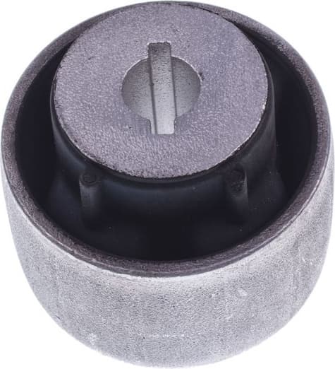 Mounting, control/trailing arm D300499