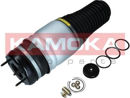 Air Spring, suspension 2079026