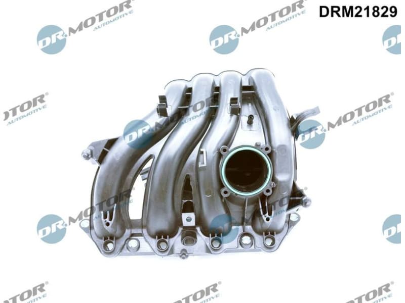 Intake Manifold Module DRM21829