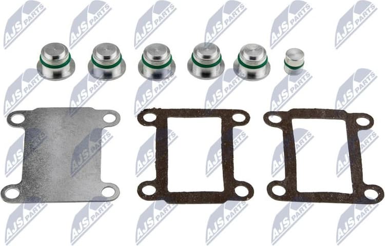 Intake Manifold Module BKS-FT-005A