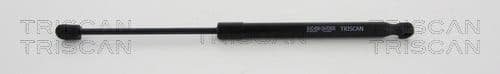 Gas Spring, boot/cargo area 8710 23244