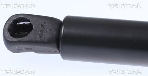 Gas Spring, boot/cargo area 8710 15257