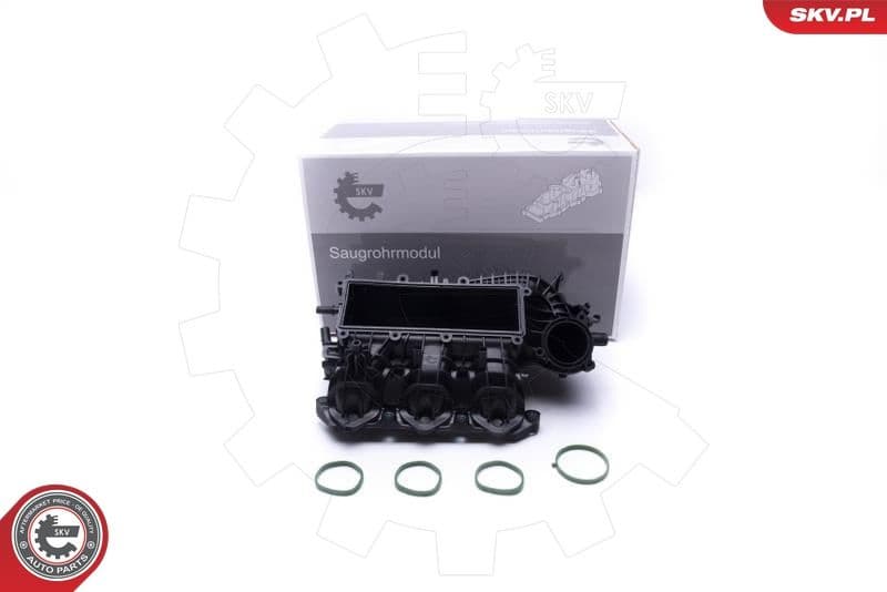 Intake Manifold Module 49SKV061
