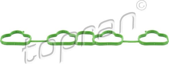 Gasket, intake manifold 208 574