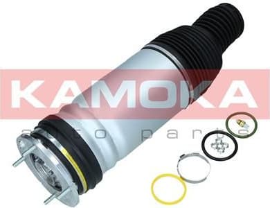 Air Spring, suspension 2079035