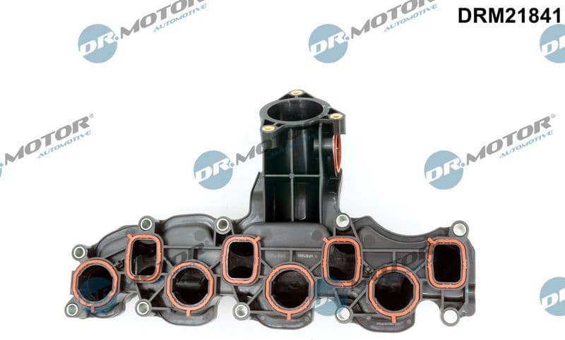 Intake Manifold Module DRM21841