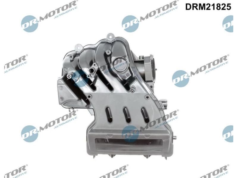 Intake Manifold Module DRM21825