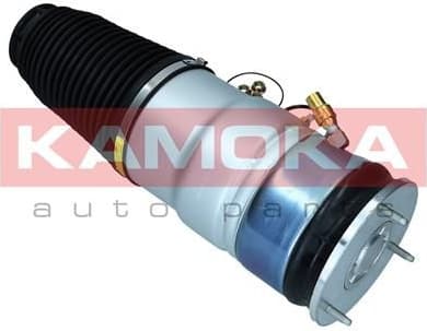 Air Spring, suspension 2079066 - image 4