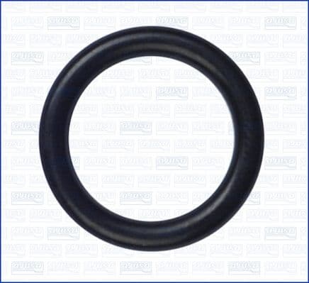 Seal Ring, oil cooler (lubrication) 16009800