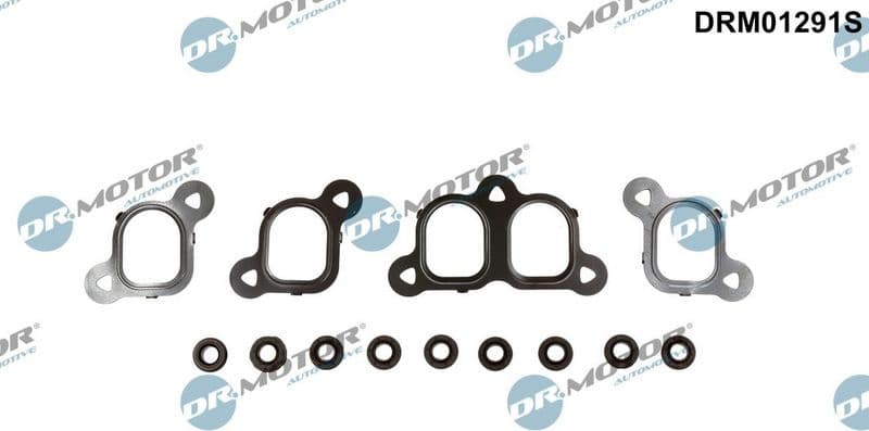 Gasket Set, intake manifold DRM01291S
