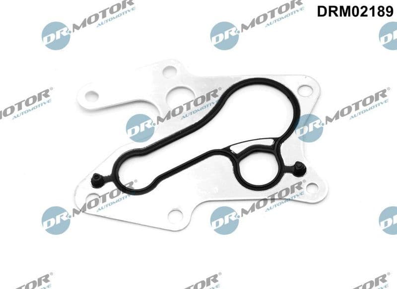 Gasket, oil cooler DRM02189