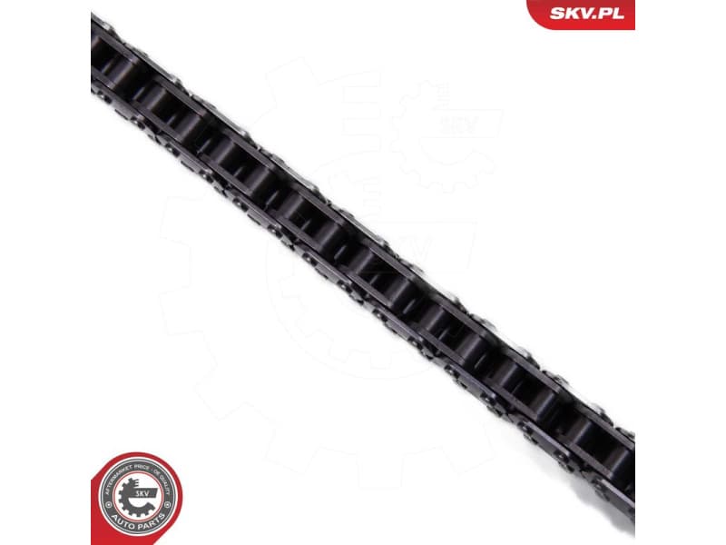 Timing Chain Kit 21SKV252