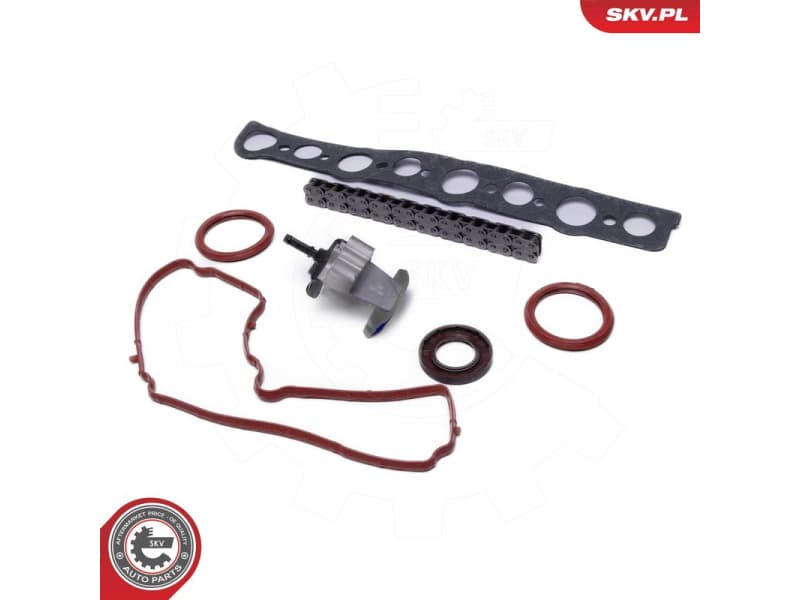 Timing Chain Kit 21SKV254 - image 2