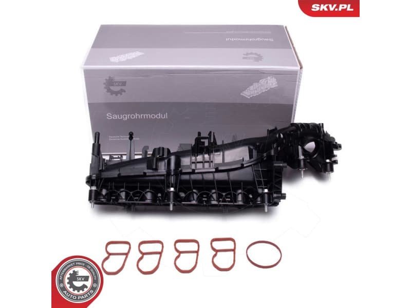 Intake Manifold Module 49SKV078