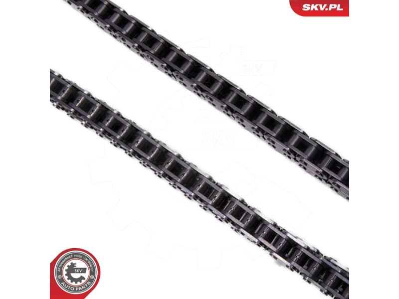 Timing Chain Kit 21SKV257 - image 3