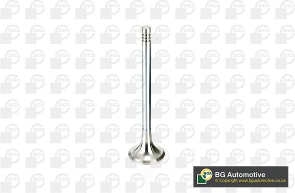 Valve exhaust V165961