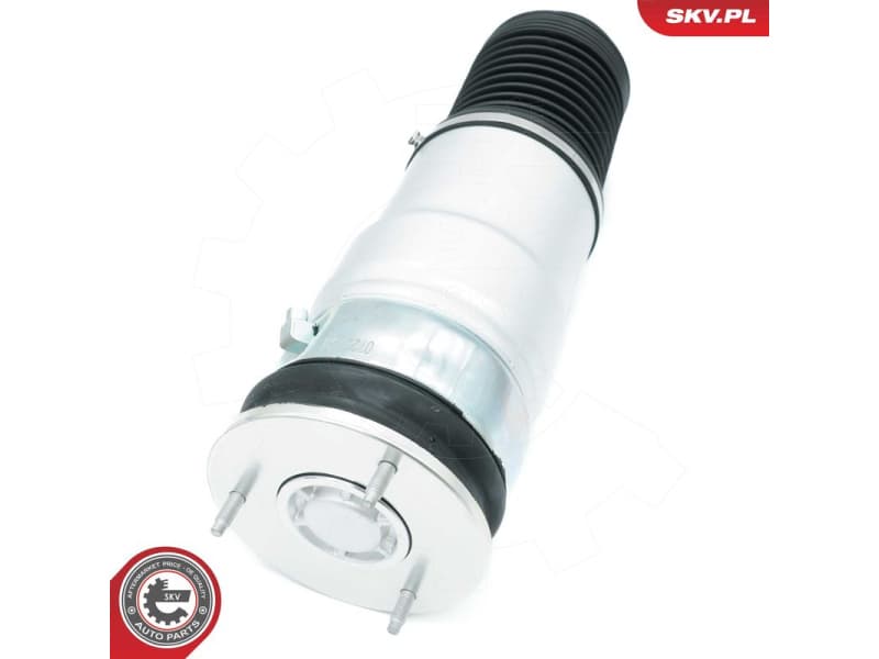 Air Spring, suspension 58SKV078 - image 3