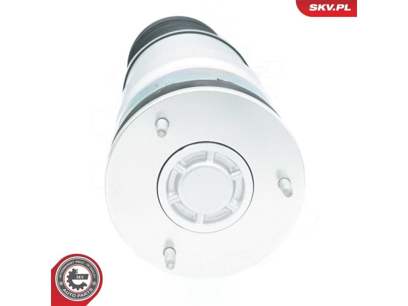 Air Spring, suspension 58SKV078 - image 5