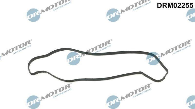 Gasket, coolant flange DRM02255