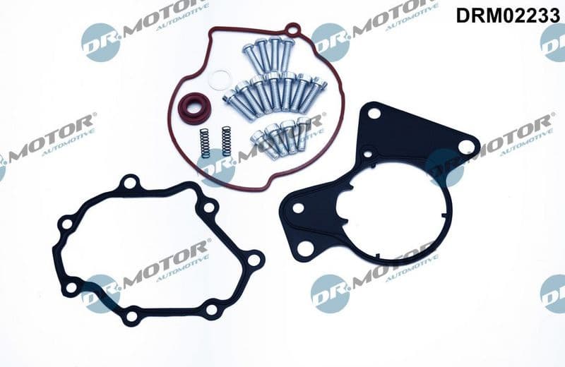 Repair Set, vacuum pump (braking system) DRM02233