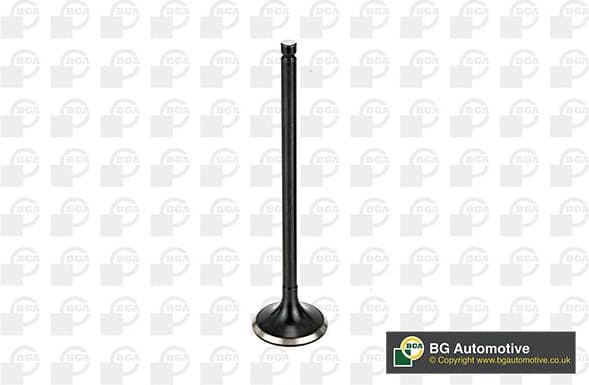 Exhaust Valve V165411