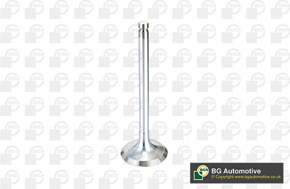 Intake Valve V994546