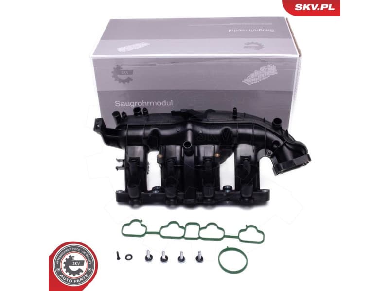 Intake Manifold Module 49SKV076