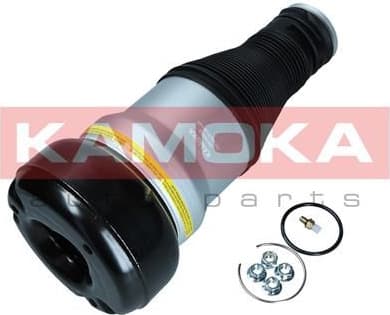 Air Spring, suspension 2079058