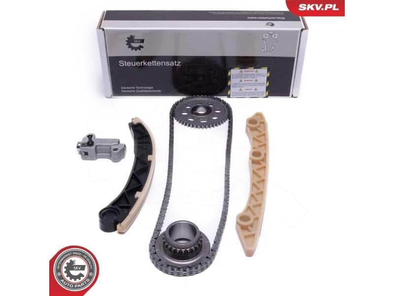 Timing Chain Kit 21SKV253