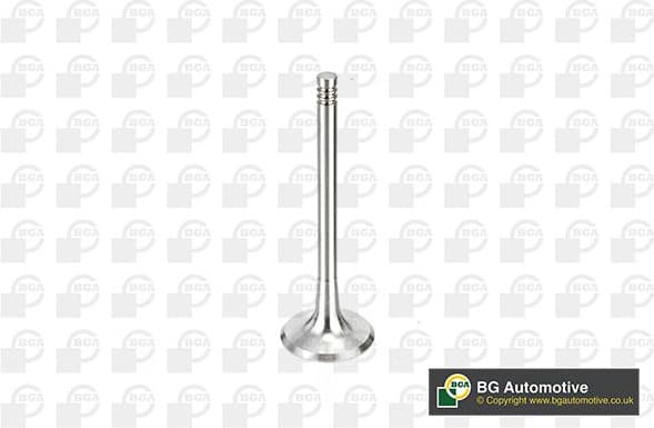 Intake Valve V163720