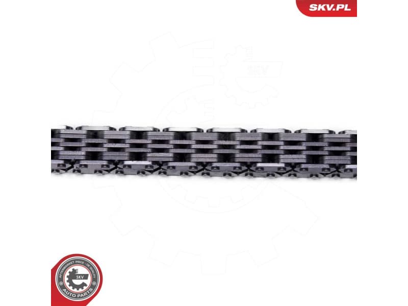 Timing Chain Kit 21SKV259