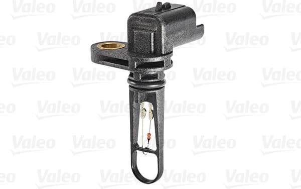 Sensor, intake air temperature 255601 - image 5