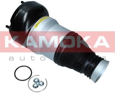 Air Spring, suspension 2079056 - image 2