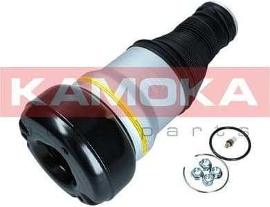 Air Spring, suspension 2079057