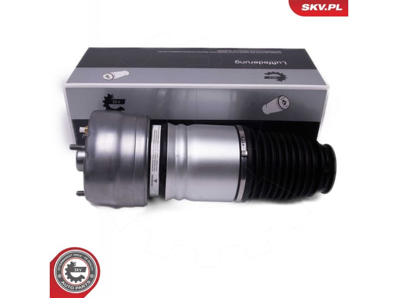 Air Suspension Strut 58SKV080