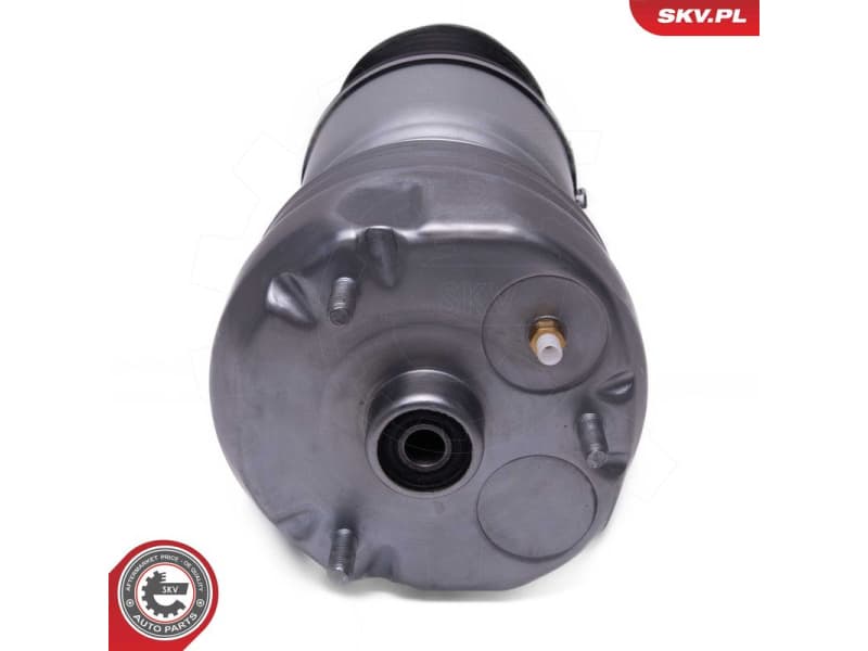 Air Suspension Strut 58SKV080 - image 3