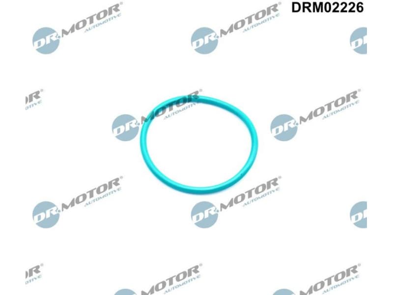 Gasket, EGR valve DRM02226