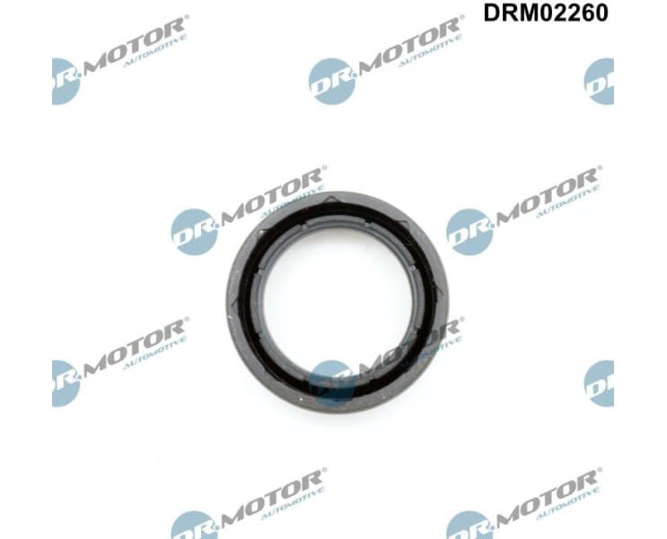Seal Ring, spark plug shaft DRM02260