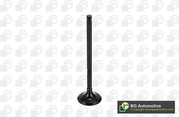 Exhaust Valve V998746