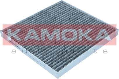 Filter, cabin air F522501 - image 2